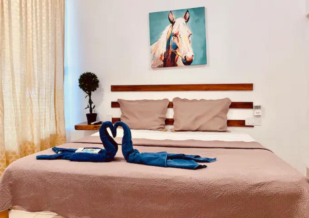 Ximajo Casa Piedra Otel Brisas de Zicatela Dış mekan fotoğraf